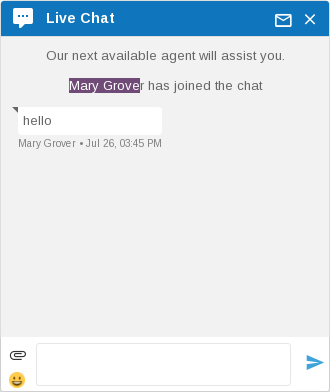 Agent name shown to customer