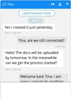 Load Previous Chats